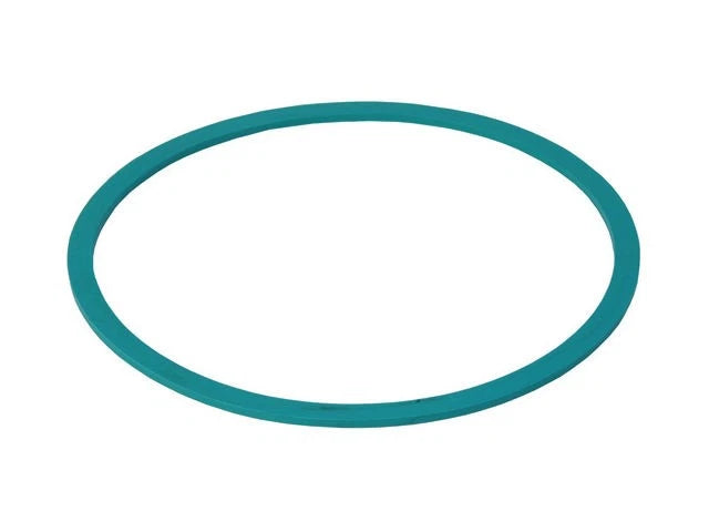 Fuel Pump Seal for Jaguar Vanden Plas (2004–2005) FY184XM