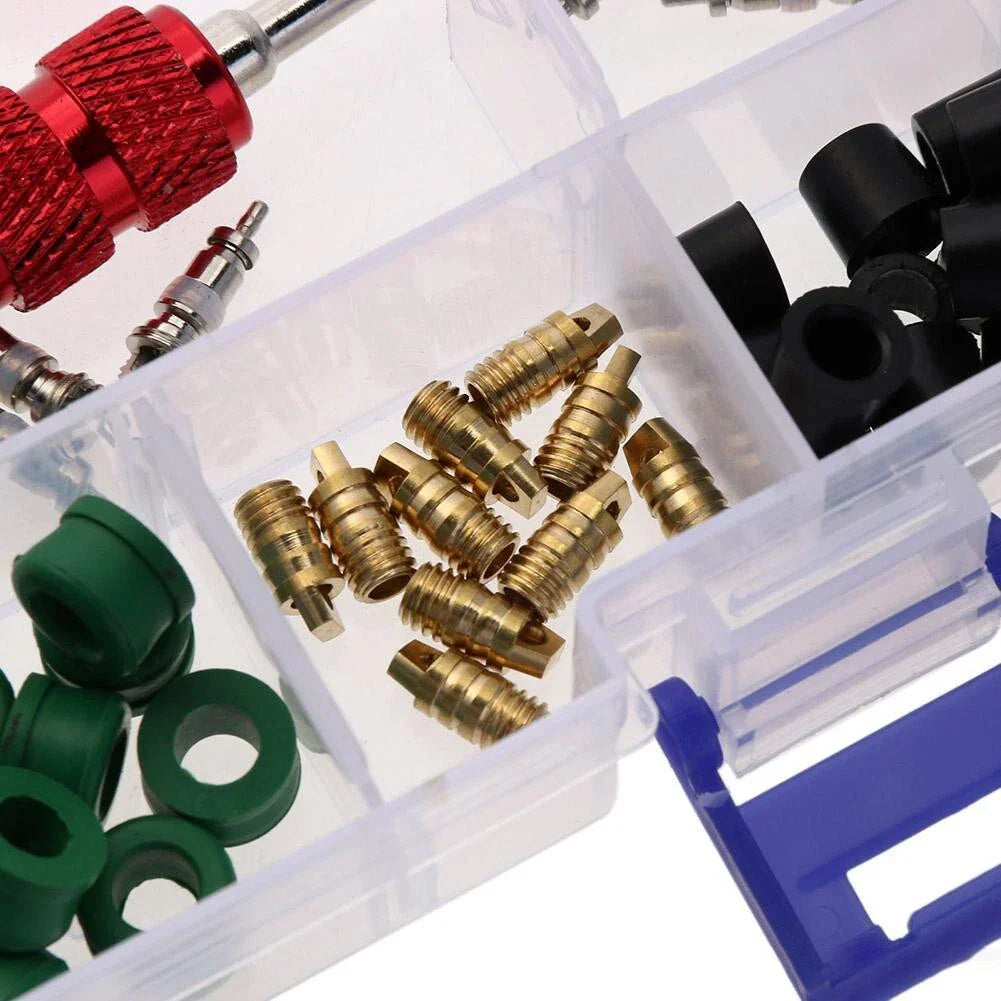 Premium 71Pcs Air Conditioning Tool Kit with AC Valve Core and Rubber Gaskets