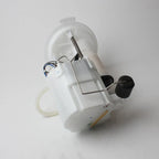 Fuel Pump Assembly for BMW F20 F30 116i 118i 316i 320i N13 (2011-2019)