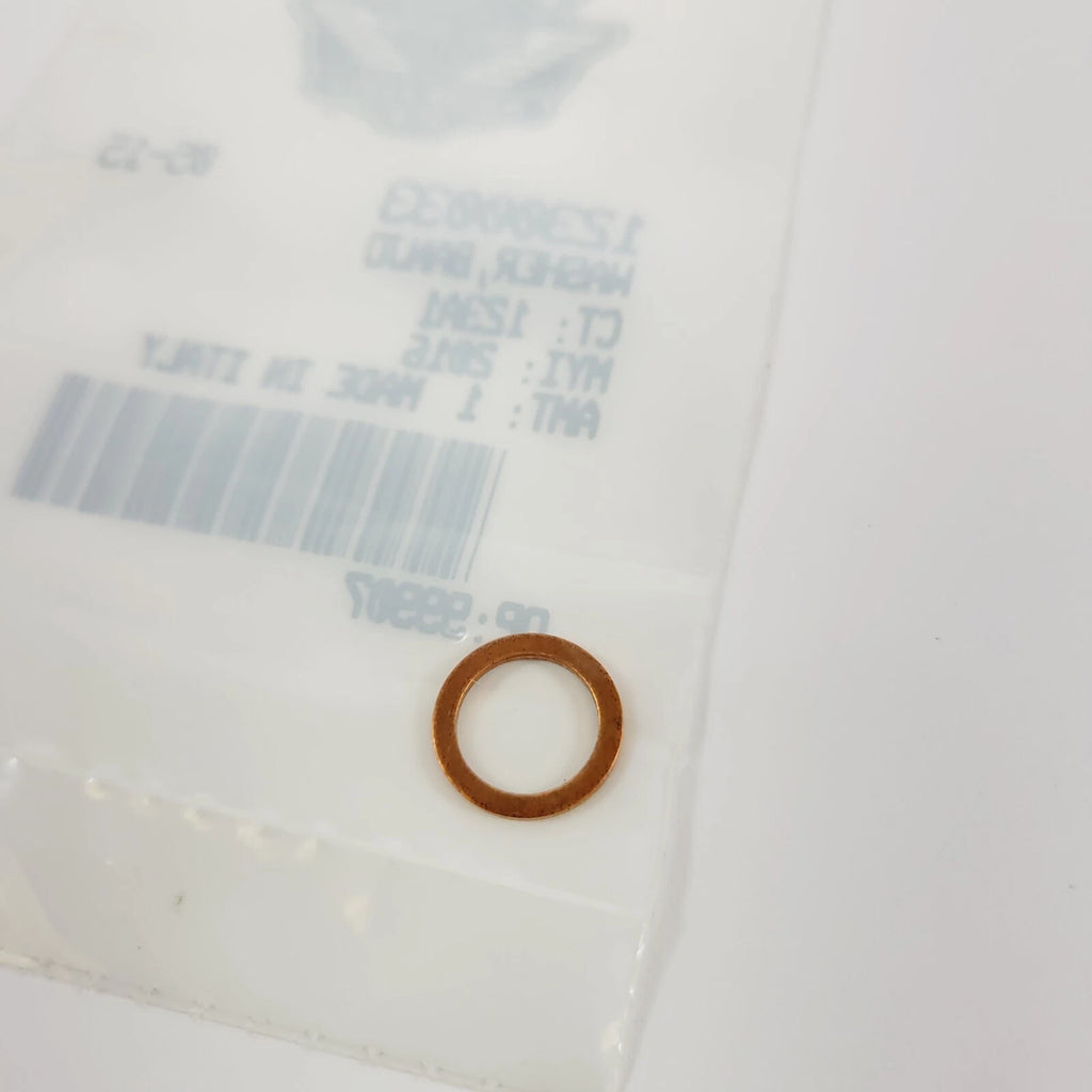 Banjo Washer for Harley-Davidson (12300033)