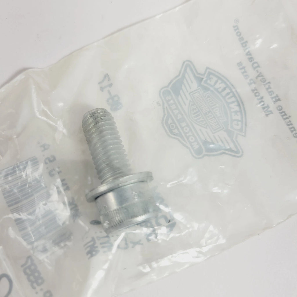 Screw SHS M10 1.5 x 25LG for Harley-Davidson 4530M