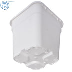 Set of 10 Square White Nursery Pots for Plants