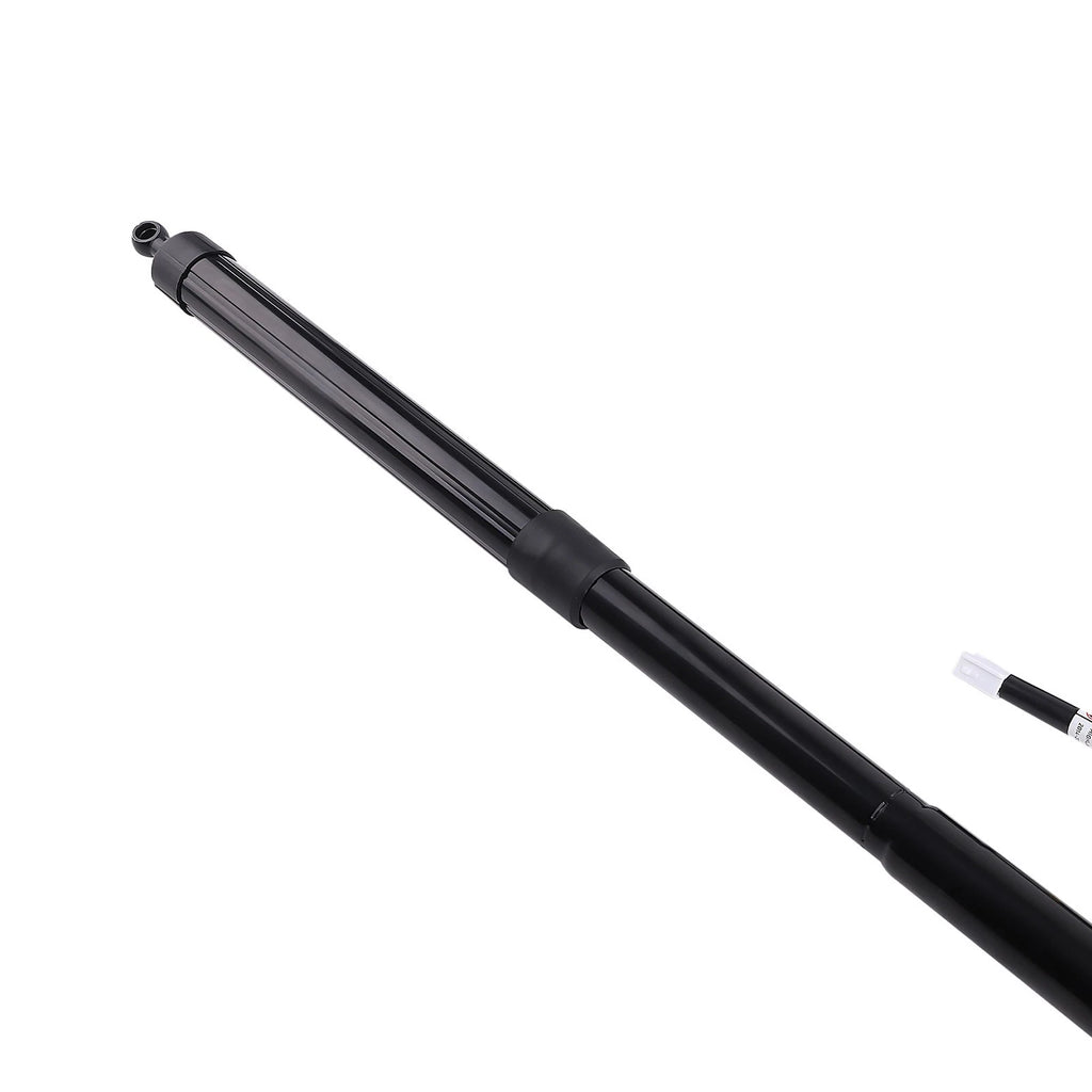 Rear Trunk Lift Support Strut for Toyota Highlander (2014–2019)