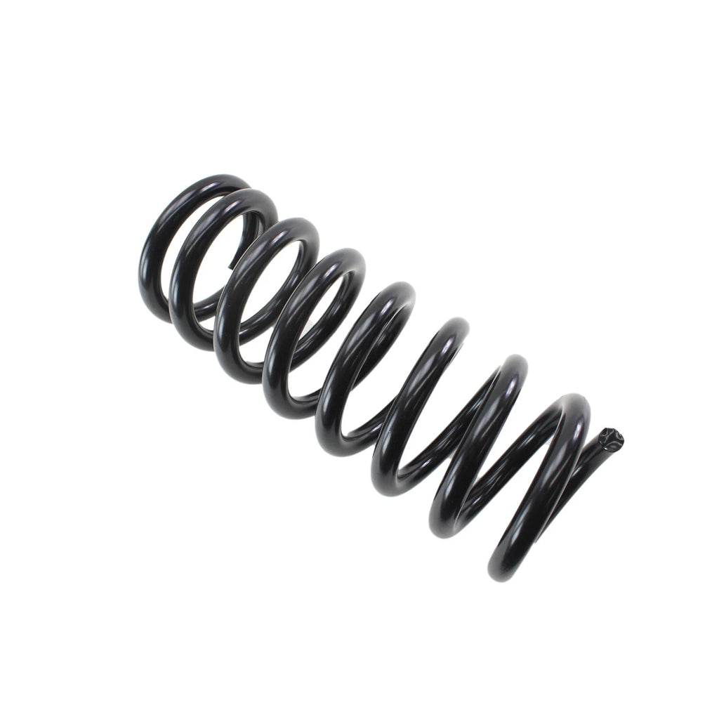 Lesjofors Rear Coil Spring for Mercedes-Benz (4256869)
