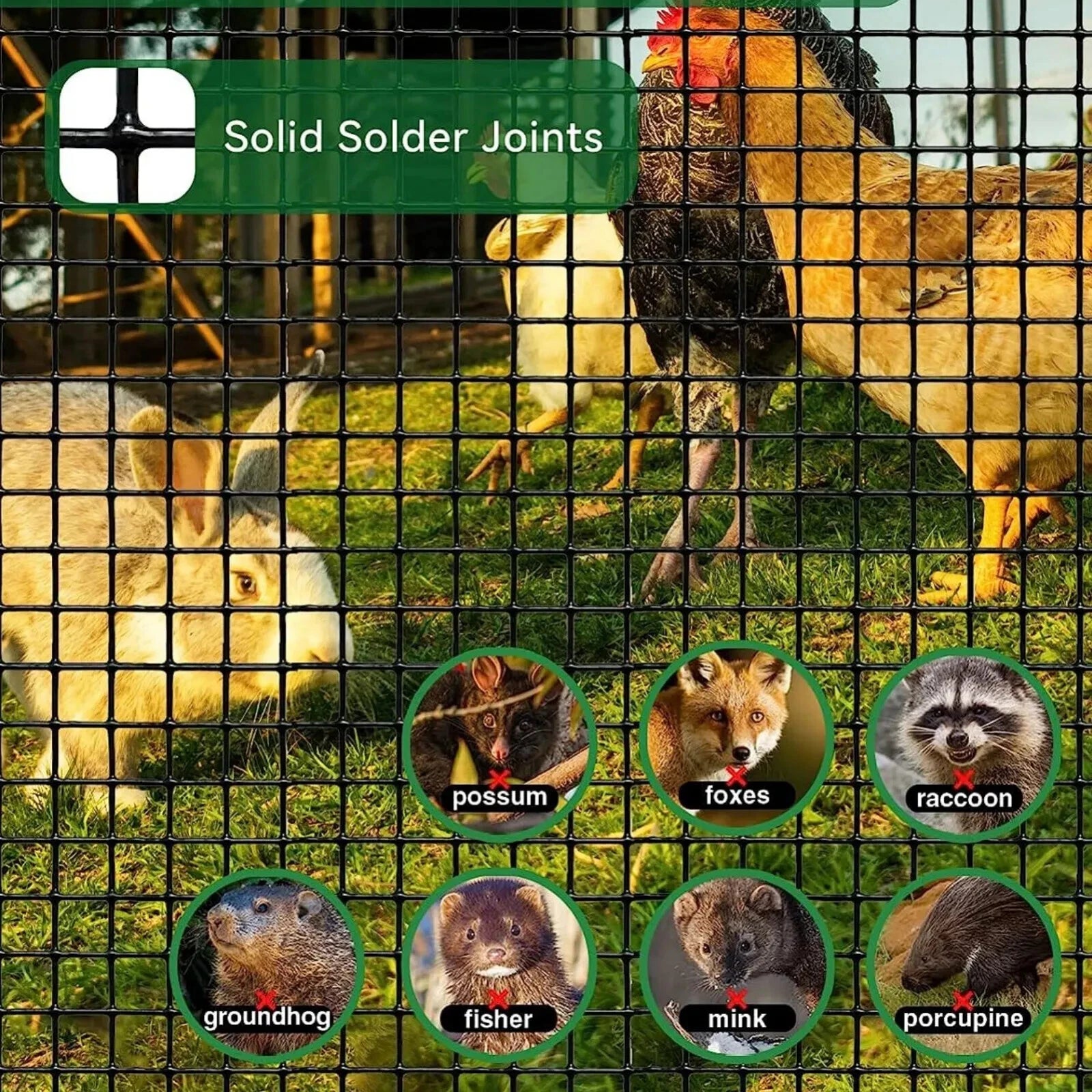 1" x 1" Welded Wire Fence for Chicken Rabbit Mesh (Vinyl Coated)