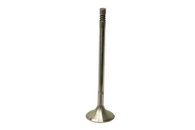 TRW Exhaust Valve 261131 for