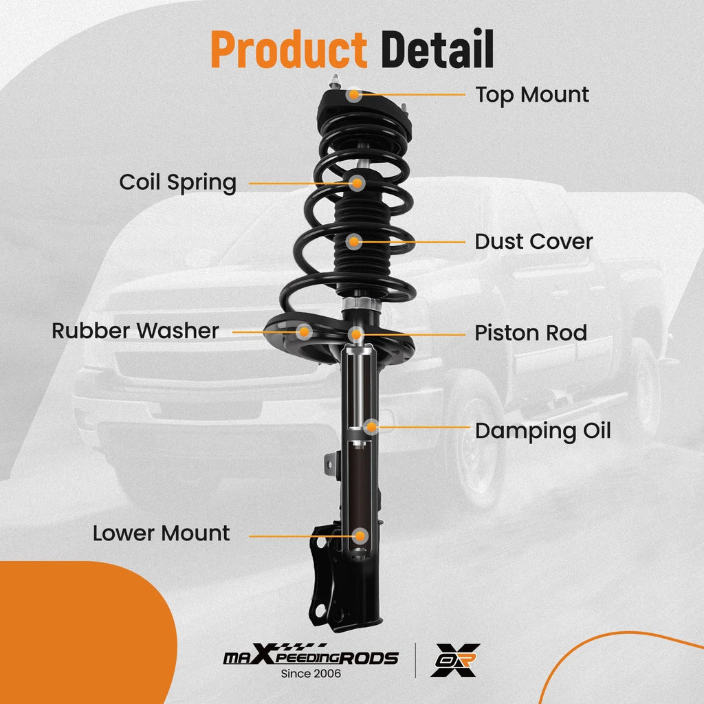 Pair Rear Shock Struts for Toyota Avalon (2004-2005)
