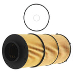 Oil Filter for Freightliner 122SD/Cascadia (2020–2022) LF17800 P582506
