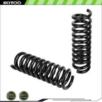 2pc Rear Coil Spring for Chrysler 300 RWD (2005–2010) 4895322AC