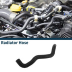 Lower Radiator Hose for Toyota Land Cruiser Prado (16572-0P370)