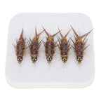 Set of 5 High Carbon Steel Stonefly Nymph Fishing Lures for Trout Bass