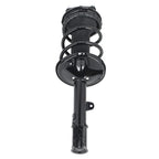 2X Front Struts w/ Coil Spring Assembly for Toyota RAV4 AWD (2000–2005)