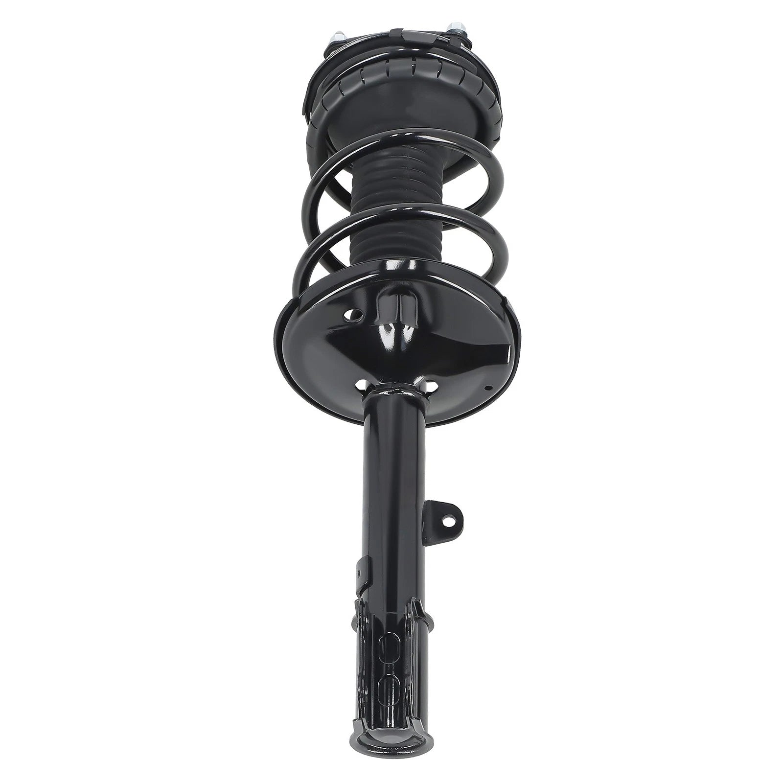 2X Front Struts w/ Coil Spring Assembly for Toyota RAV4 AWD (2000–2005)