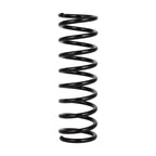 2X Rear Coil Springs for Mazda 3 (2004–2013) Ford Focus (2005–2011)