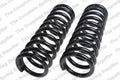 Front Coil Spring Kit for Chevrolet (4114223)
