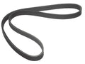 Multi Rib Belt for Mazda Millenia (1995–2002) ZX636ZM