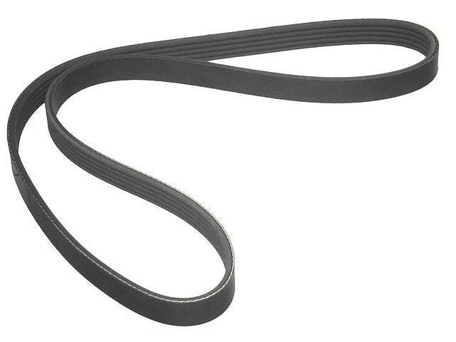 Multi Rib Belt for Mazda Millenia (1995–2002) ZX636ZM