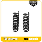2X Coil Spring Set for Dodge Charger, Magnum (2005–2010) Rear LH & RH