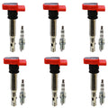 Set of 6 Ignition Coils & NGK Iridium Spark Plugs for Q5 Q7 Cayenne Touareg