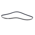 Serpentine Belt for Dodge Challenger Charger (2008-2023)