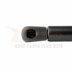 2X Trunk Lift Supports Struts for Volkswagen Beetle