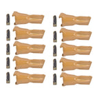 Set of 10 Dirt Bucket Teeth for Crane
