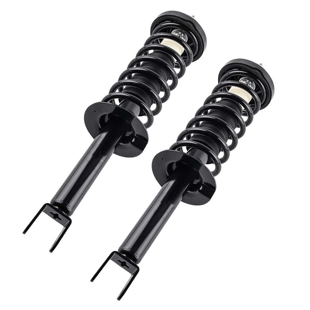 2x Rear Complete Struts Assembly Coil Spring for Honda Accord (2013–2017) 172984