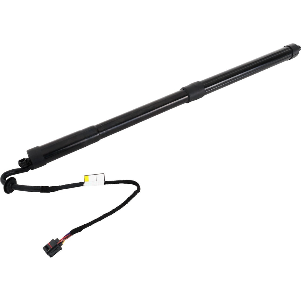 Liftgate Lift Supports for Range Rover Sport