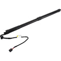 Liftgate Lift Supports for Range Rover Sport
