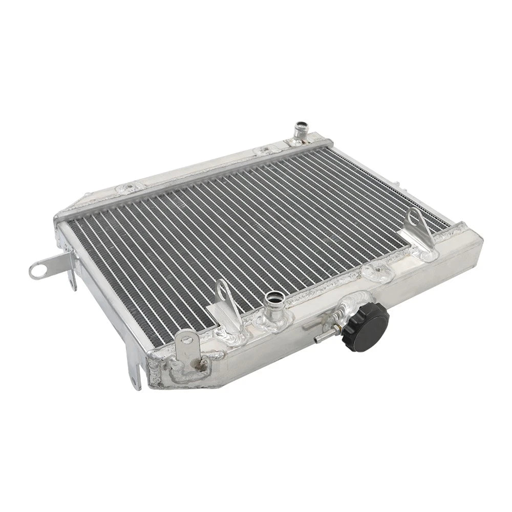 Radiator for Honda Rincon 650 680 TRX650FA TRX680FA (2006â2023)