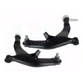 Front Lower Control Arms with Ball Joints for Nissan Murano Z50 (2003–2007)