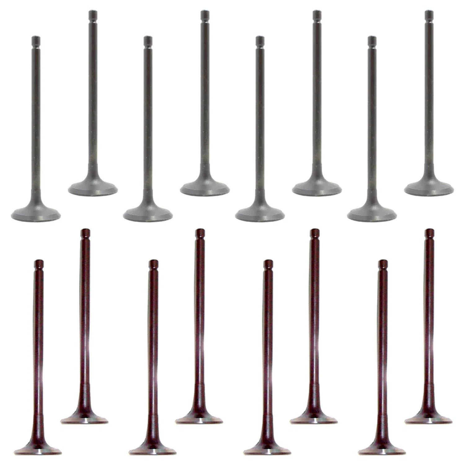 Set of 16 Intake & Exhaust Valves Kit for Elantra Tiburon Tucson Soul (2001–2016)