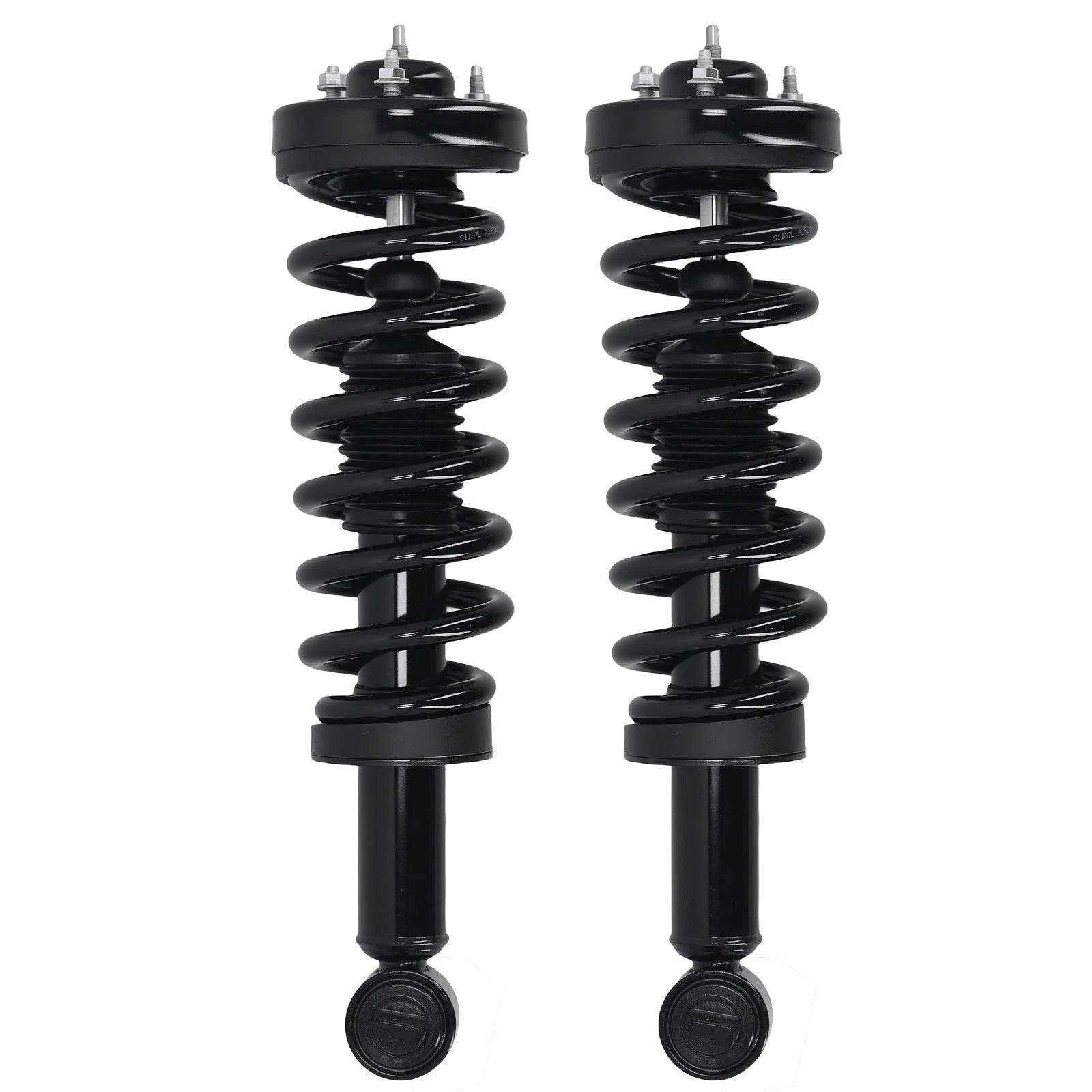 Front Left + Right Strut Spring Assembly for Ford F-150 (2015–2020)