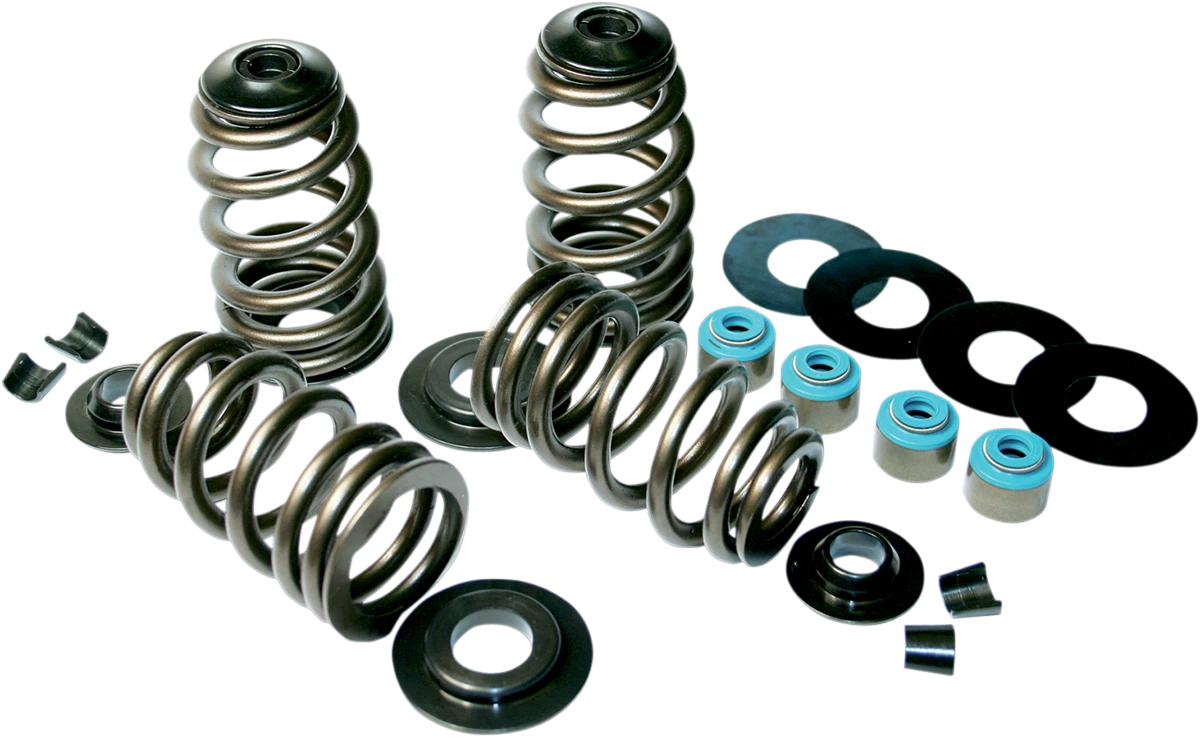 Valve Spring Kit for Harley-Davidson Twin Cam (2000–2017) - Econo Beehive