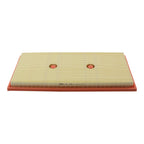 MANN FILTER Air Filter 2760940004 / C 43 139 for