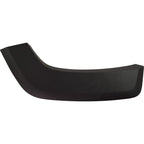 Rear Left Door Molding for Make Model