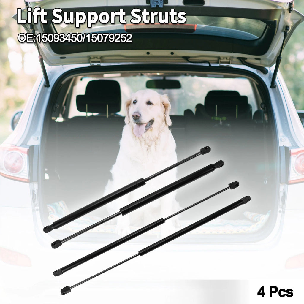 Rear Window Glass & Lift Supports Struts for Buick Rainier (2004–2007)