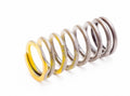 Inner Valve Spring for Sea Doo 4-Tec GTX Wake SC (155–260)