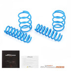 Lowering Spring Kit for BMW 3 Series Xdrive AWD F30 (2013–2019)