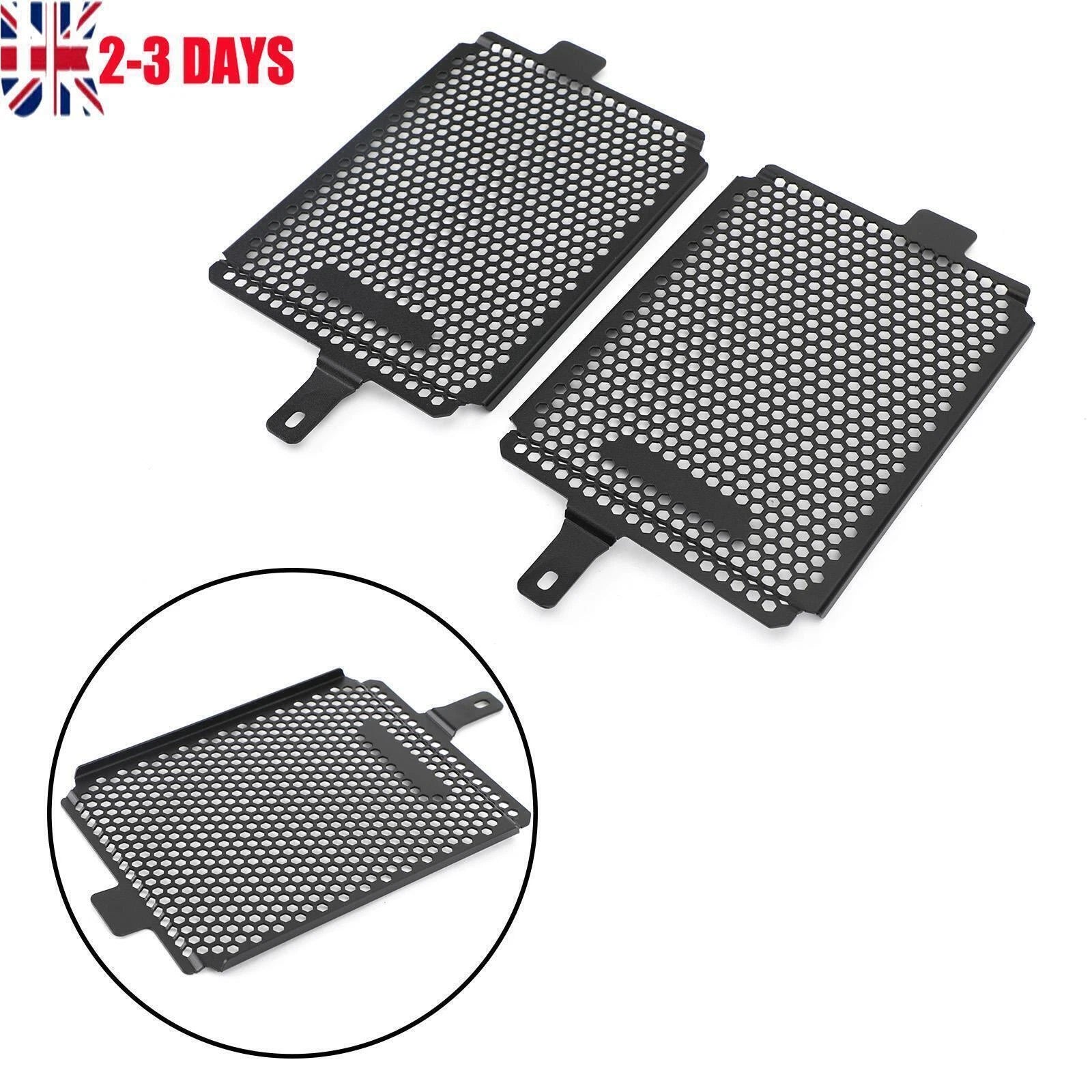 Radiator Guard Cover Grill for BMW R 1250 GS Adventure (2019–2020)