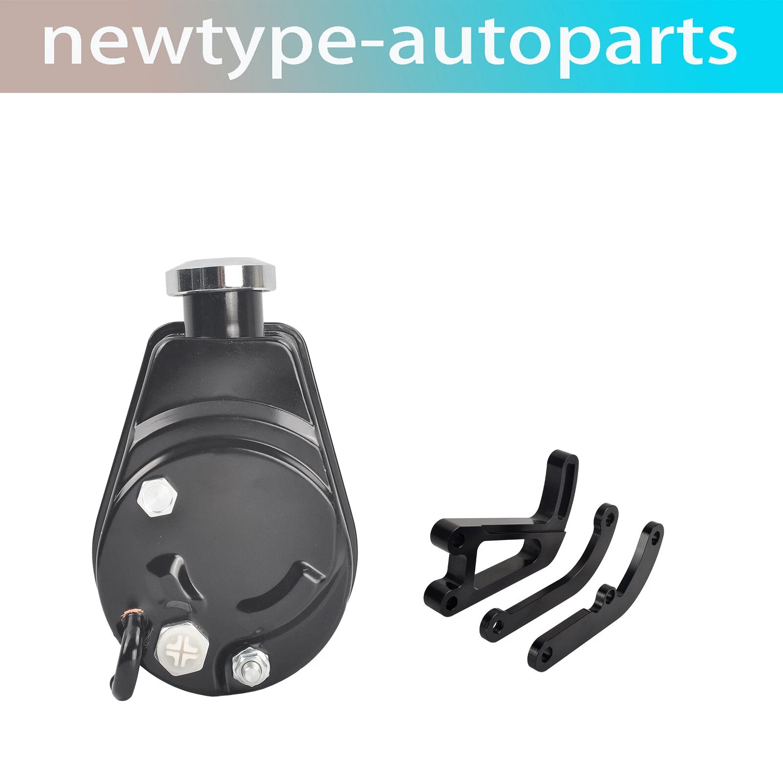 Saginaw Power Steering Pump & Bracket for Small Block Chevy SBC 305 350 400