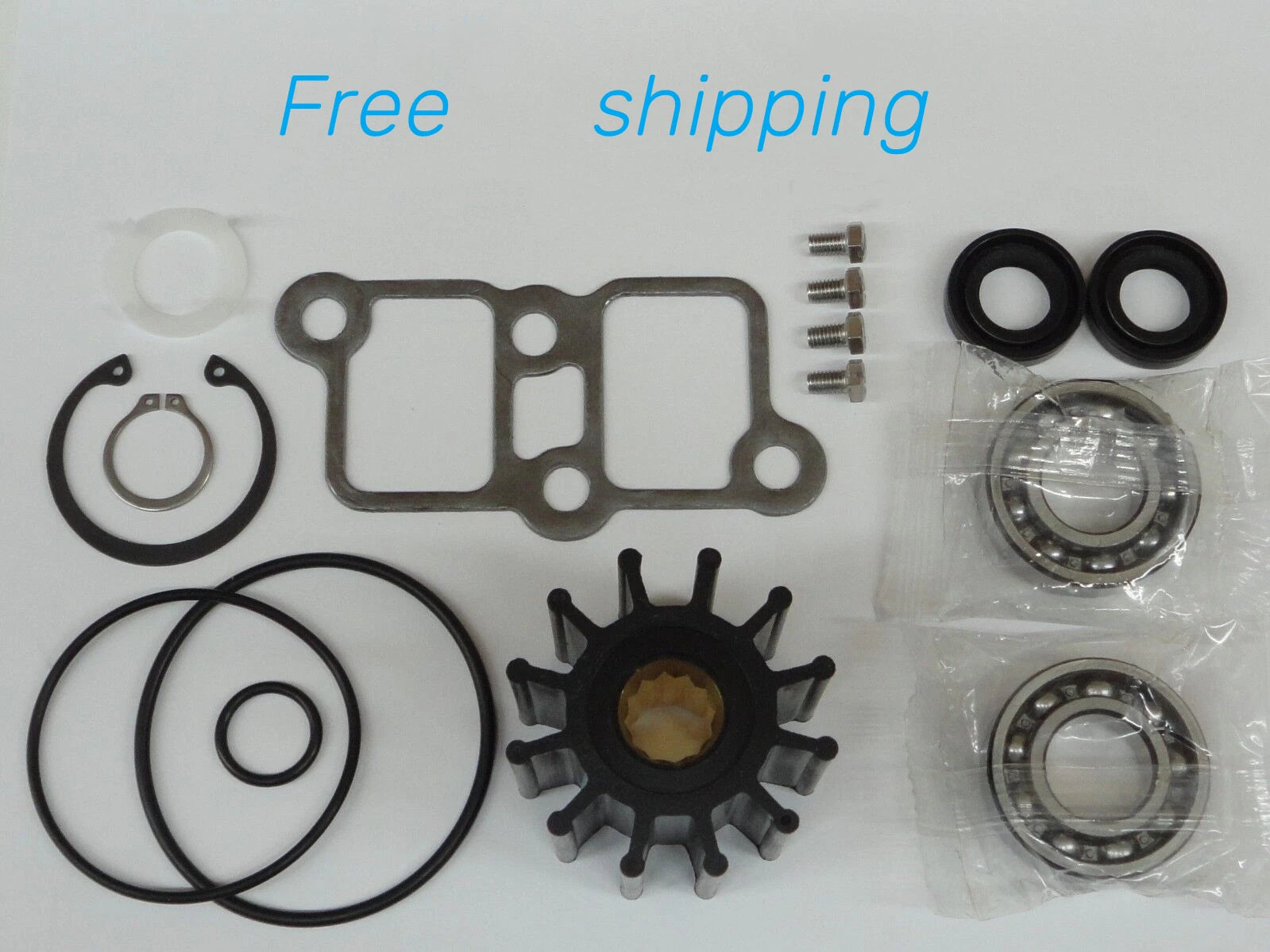 Sea Water Pump Repair Kit for Yanmar Marine 6LP (119773-42500)