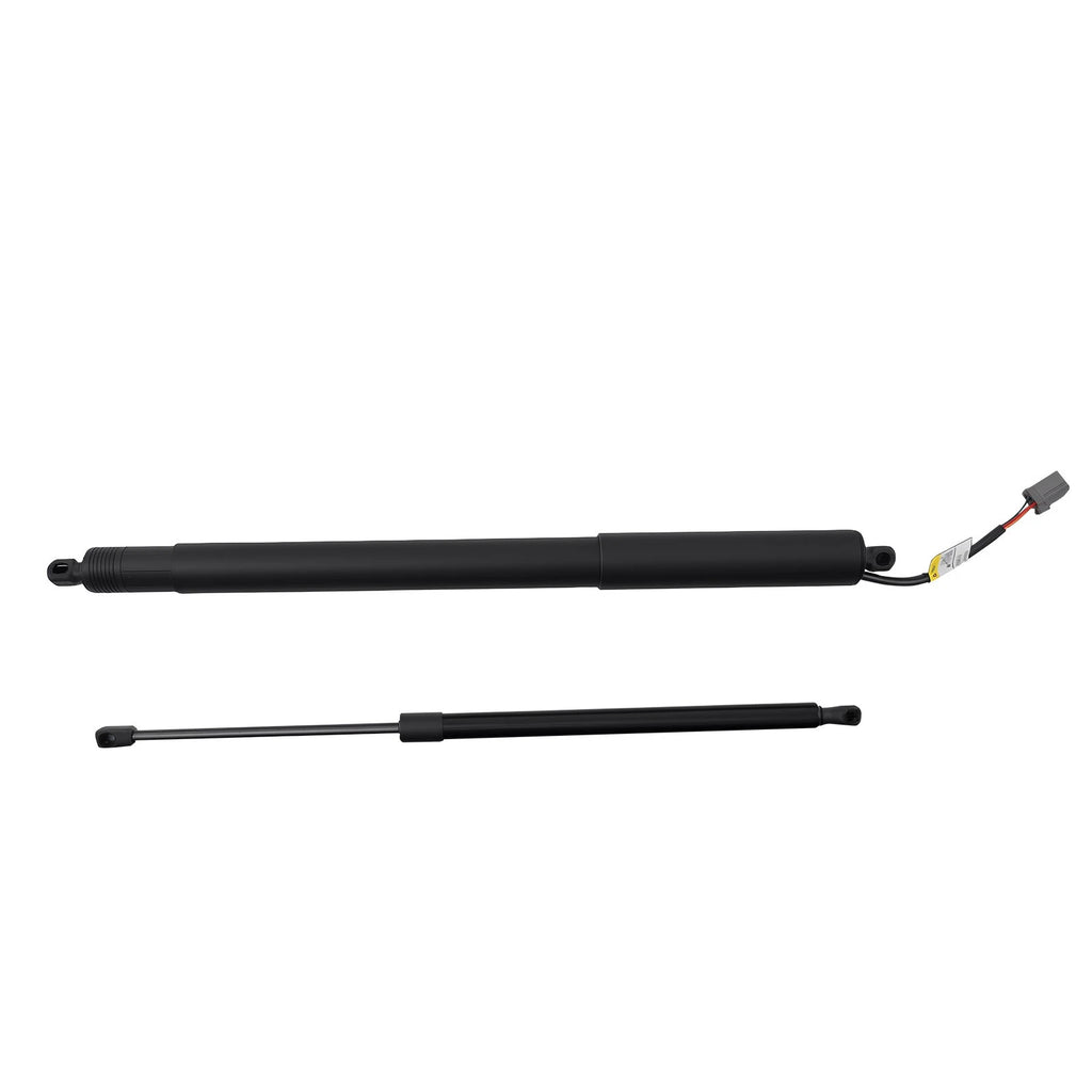2X Tailgate Lift Support Strut for Ford Edge Lincoln MKX (2011)