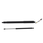 2X Tailgate Lift Support Strut for Ford Edge Lincoln MKX (2011)