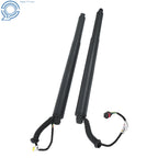 Set of 2 Electric Tailgate Support Rods for Nissan Murano (2015–2020) 905605AA1A
