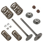 Intake Exhaust Valve Spring Kit for Honda FourTrax 300 TRX300 (1988–2000)