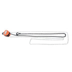 Chain Hoist 1100lb Capacity for Hoisting (10ft Lift)
