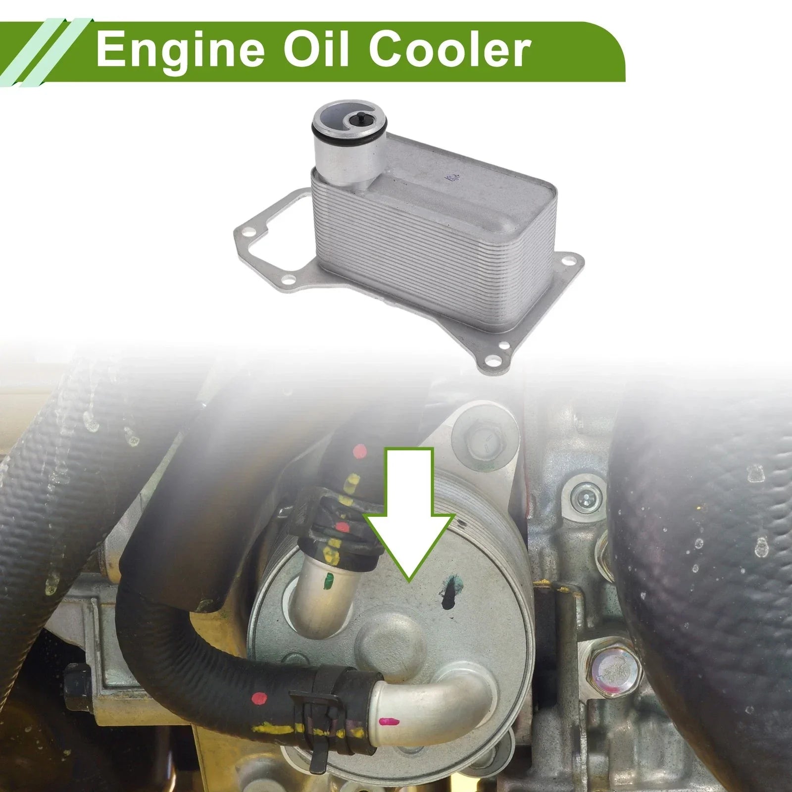 Engine Oil Cooler for BMW X5 (2019-2023)