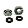 Set of Crank Bearings & Crankshaft Seals for 9503 003 0340