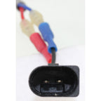 Window Regulator for Ford Focus (2000–2007) Right Side